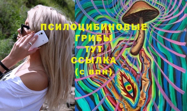 таблы Алексеевка