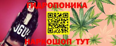 каннабис Моздок
