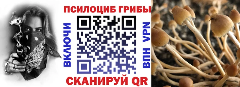 Псилоцибиновые грибы прущие грибы  цены наркотик  hydra   Дмитров 