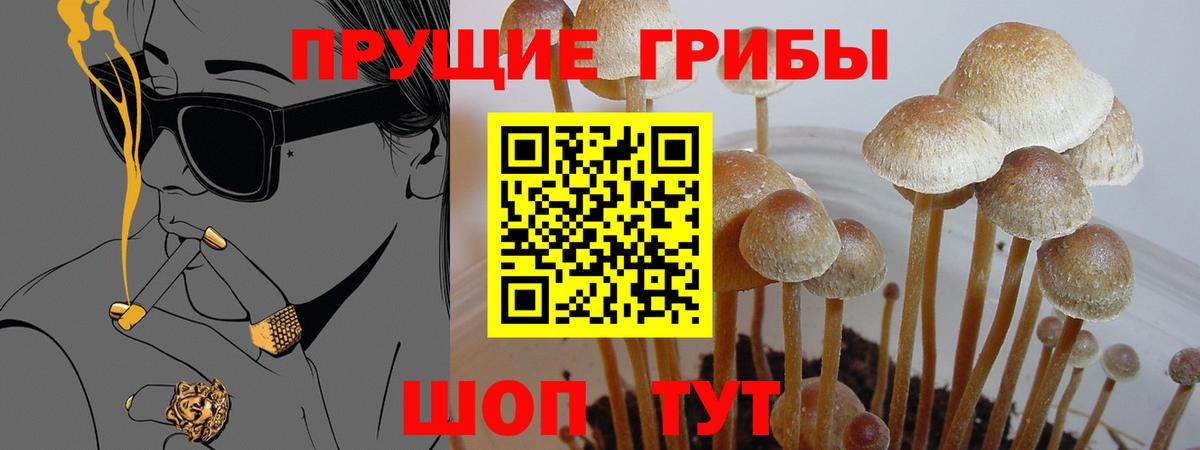 Дмитров  Галлюциногенные грибы мухоморы  Вход с VPN  Псилоцибиновые грибы ЛСД 